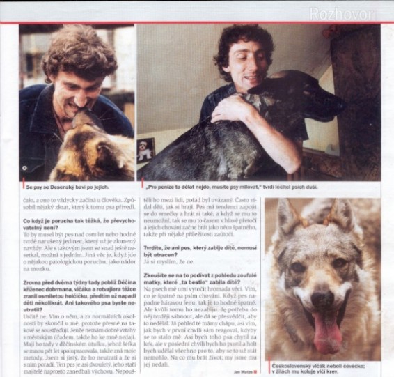 článek časopis Týden